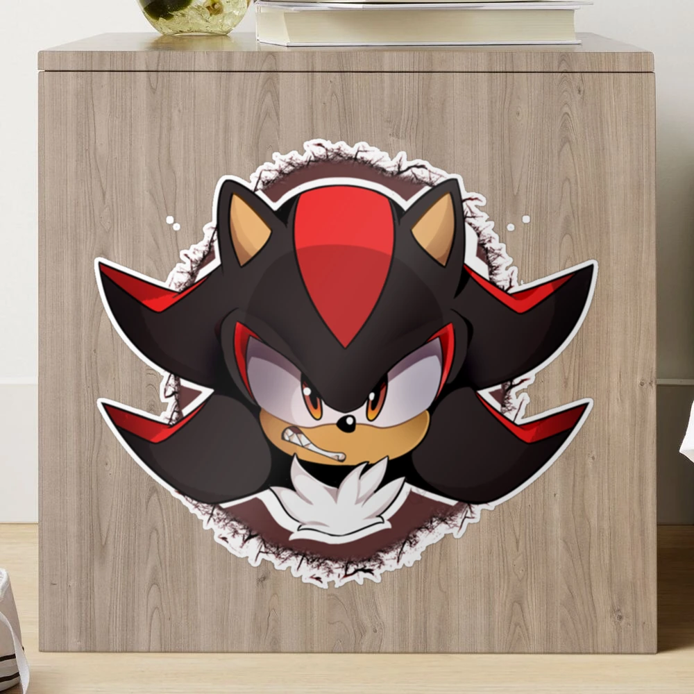 Sonic Sticker Sticker Quest: Sonic Vs Shadow: Sticker Activity Book ...