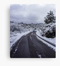 Adventurer Canvas Print