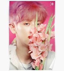 Chanyeol Poster