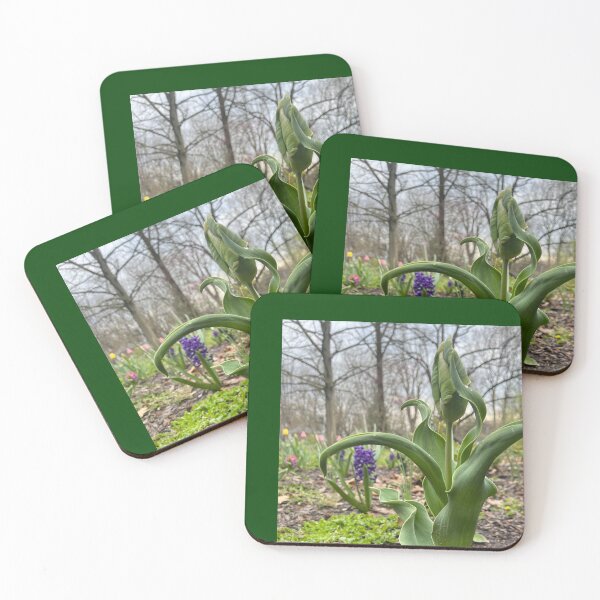 Item preview, Green Spring Risings designed and sold by TherapeuticNest.