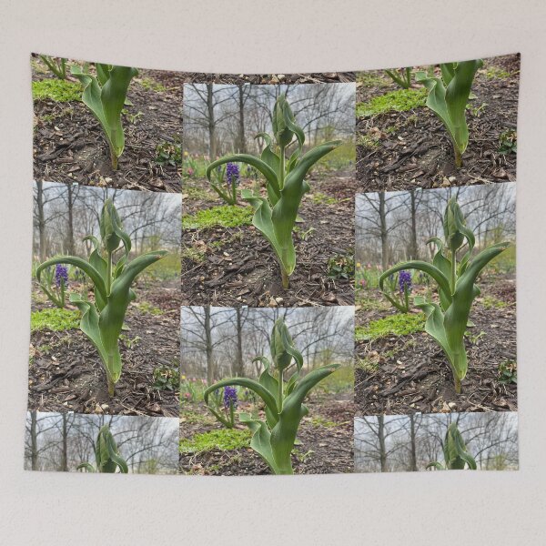 Item preview, Green Spring Risings designed and sold by TherapeuticNest.