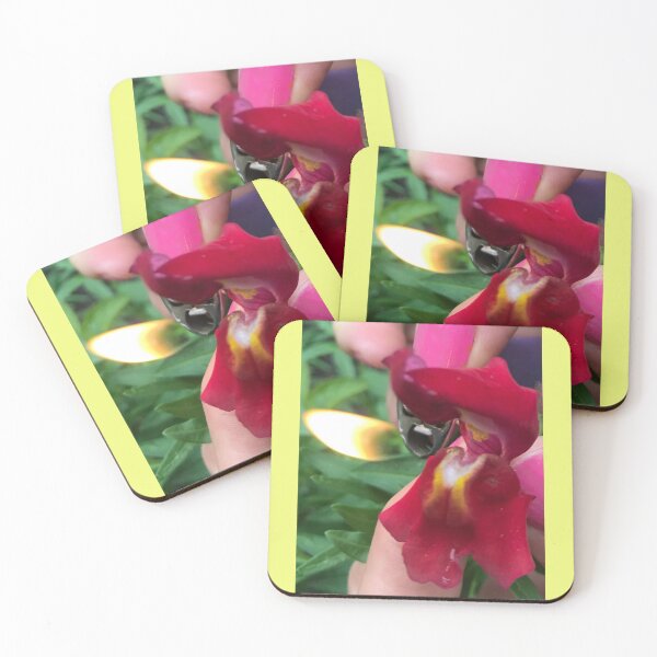 Item preview, Snap Dragon Breathes Fire designed and sold by TherapeuticNest.