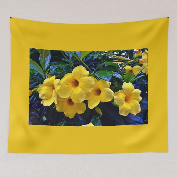 Item preview, Beautiful Allamandas  designed and sold by Lanis Rossi.
