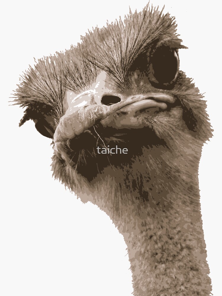 ugly ostrich cartoon