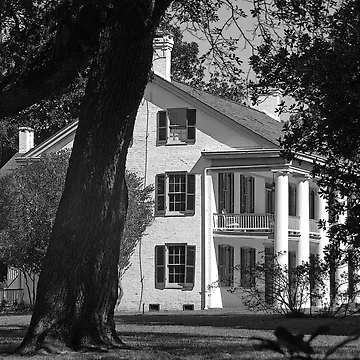 Artwork thumbnail, Magnolia Ridge by Bonnie T. Barry