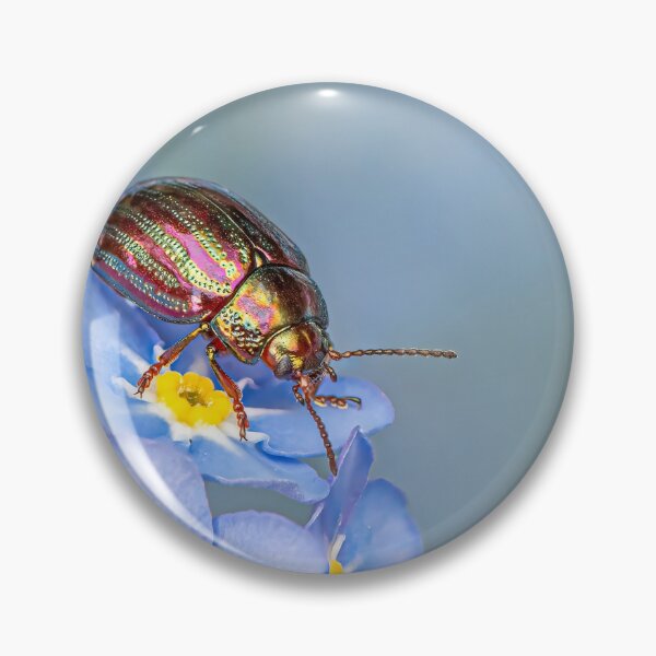 Artikelvorschau, Rosemary Beetle on Forget-me-not entworfen und verkauft von Tony North.