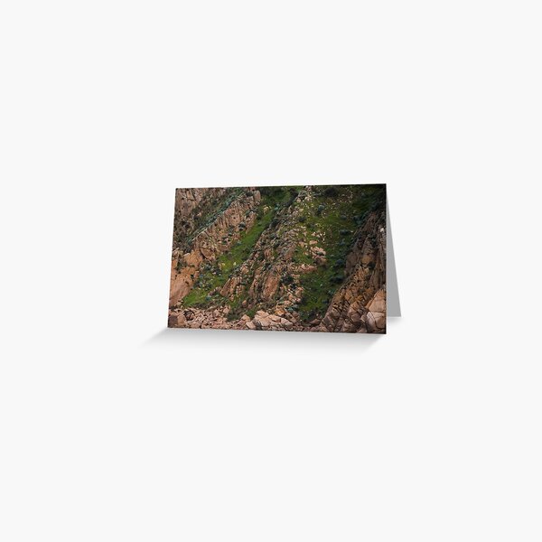Item preview.