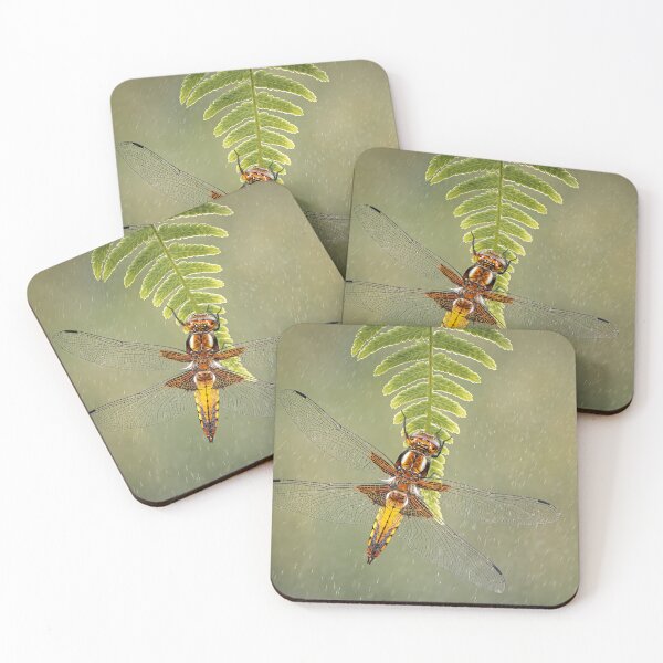 Item preview, Broad-bodied Chaser female on fern designed and sold by Tony North.