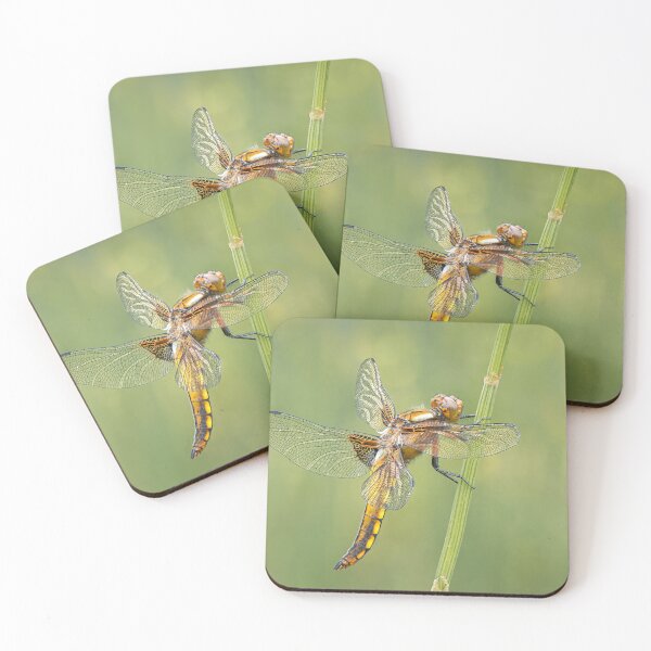 Item preview, Broad-bodied Chaser female side view designed and sold by Tony North.