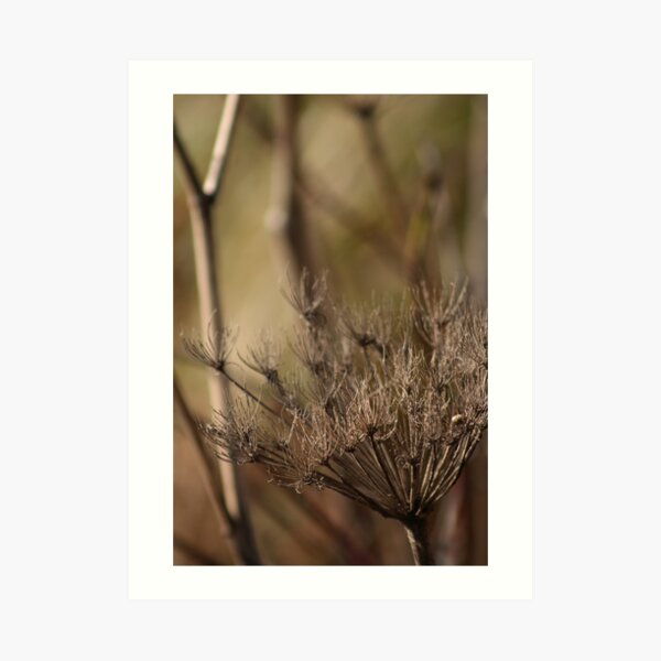 The Rising Art Print
