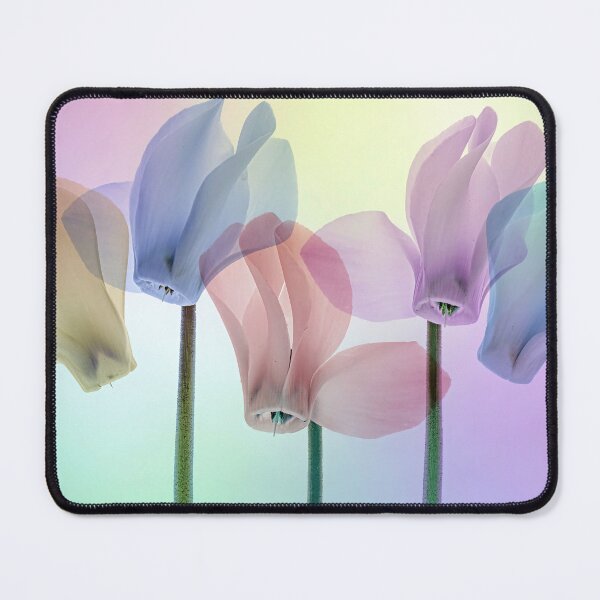 Item preview, Cyclamen Colours designed and sold by Tony North.