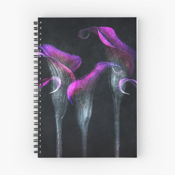 Aperçu de l'œuvre Five Three Calla Lilies black background créée et vendue par Tony North.