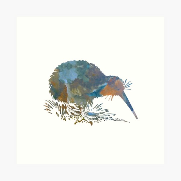 Kiwi Bird Fruit Art Print By Giuseppe Jones Redbubble