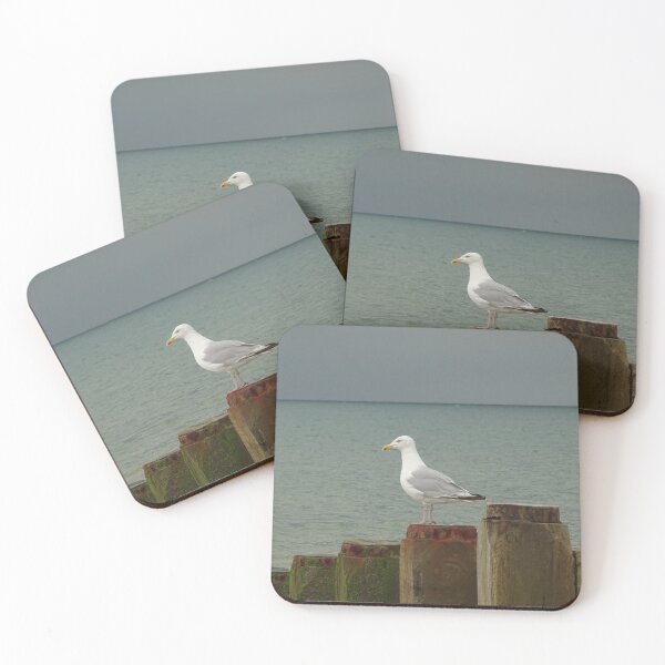 Item preview, Gull on a Groyne designed and sold by GingerMan2550.