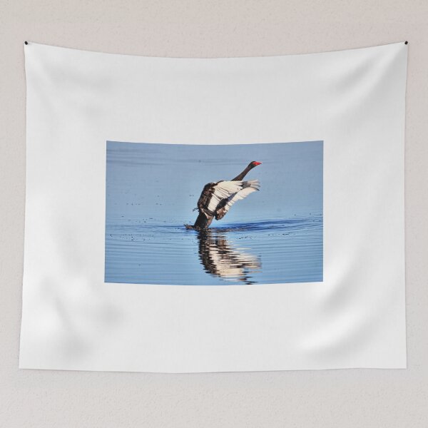 Item preview, Swan (6) designed and sold by Ian Ramsay.