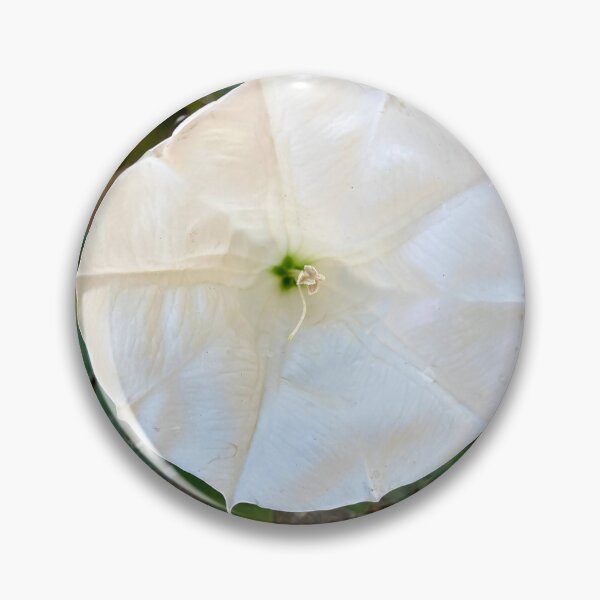 Item preview, White Morning Glory designed and sold by NicciLite.