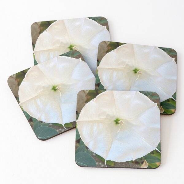 Item preview, White Morning Glory designed and sold by NicciLite.