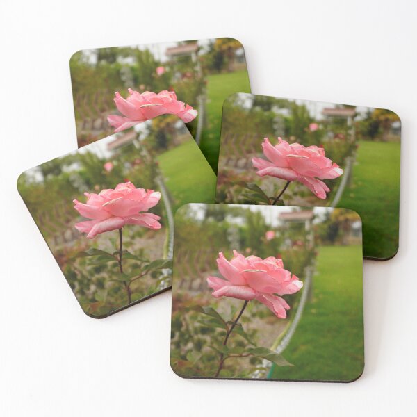 Item preview, Pink Rose designed and sold by mylensflow.