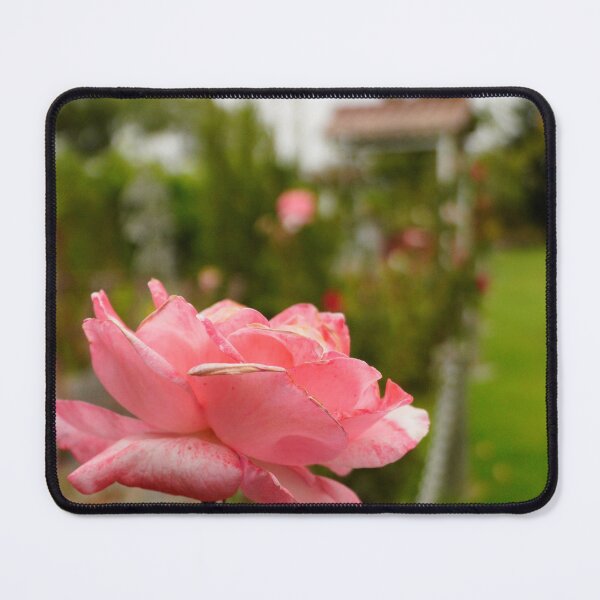Item preview, Pink Rose designed and sold by mylensflow.