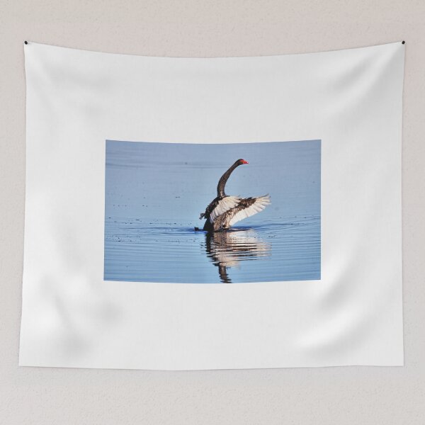 Item preview, Swan (3) designed and sold by Ian Ramsay.