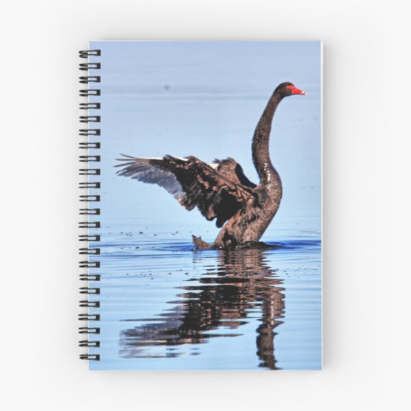 Item preview, Swan (2) designed and sold by Ian Ramsay.