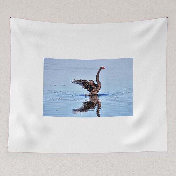 Item preview, Swan (2) designed and sold by Ian Ramsay.