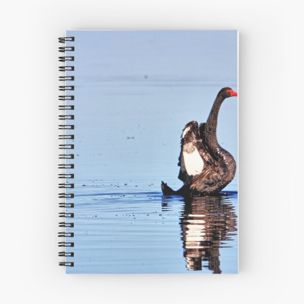 Item preview, Swan (1) designed and sold by Ian Ramsay.