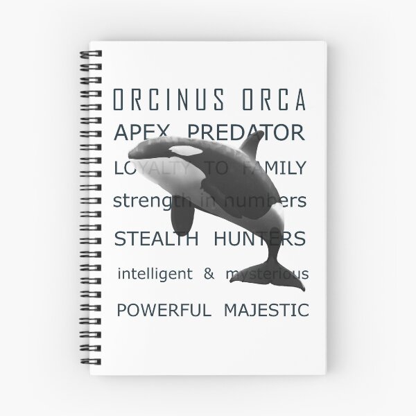 Item preview, ORCINUS ORCA - describing the Killer Whale designed and sold by Jaynee Grace.