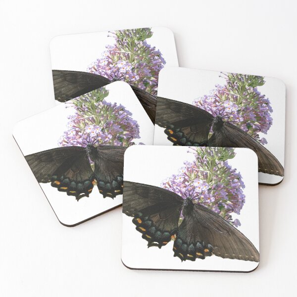 Item preview, Black Butterfly designed and sold by Harrisonphoto.