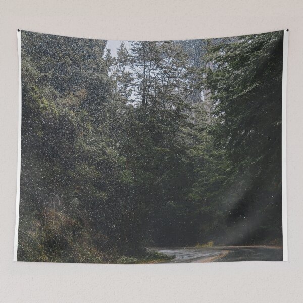 Item preview, Snow on the road, A Bariloche Winter Postcard | Winter Nature Photography designed and sold by julidescole.