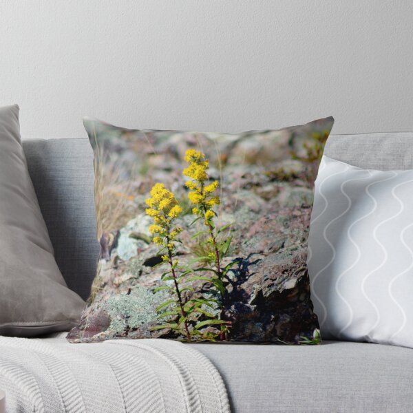 Item preview, Goldenrod designed and sold by Kathleen Daley.