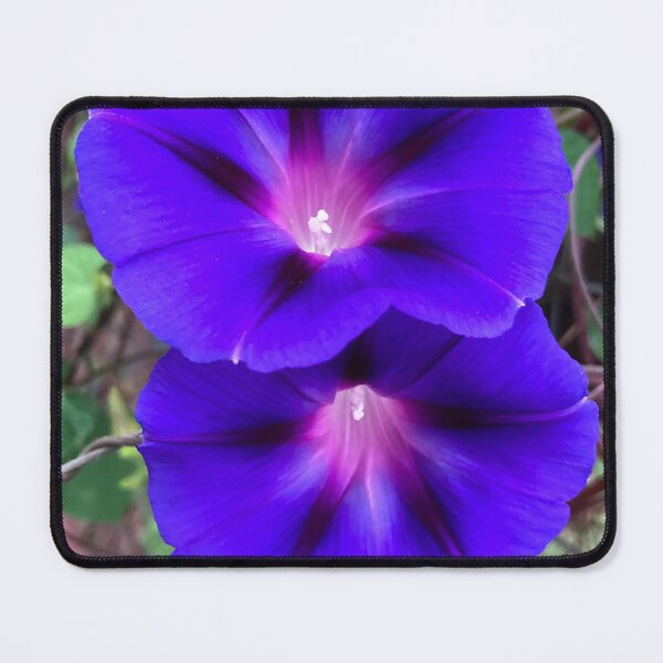 Item preview, Morning Glory - BLU3 designed and sold by NicciLite.