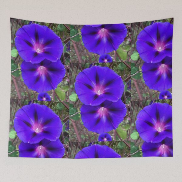Item preview, Morning Glory - BLU3 designed and sold by NicciLite.