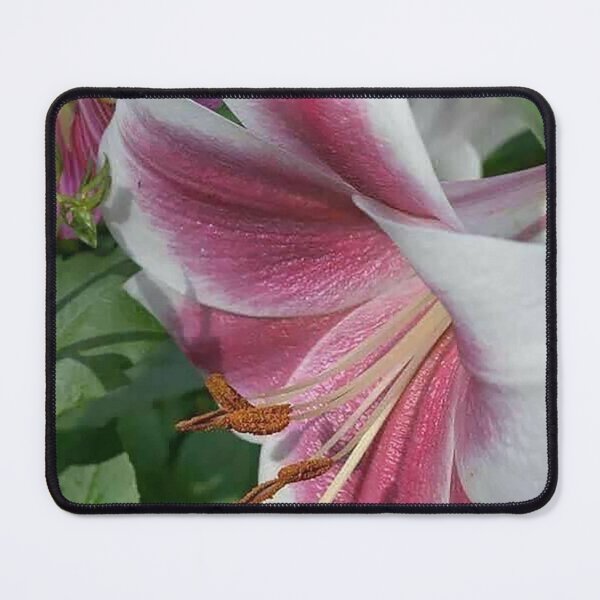 Item preview, Pink White Lilly - MS LILLY designed and sold by NicciLite.