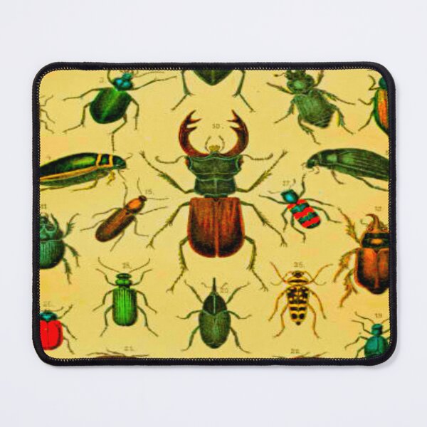 Item preview, Insectes designed and sold by Itaxi.