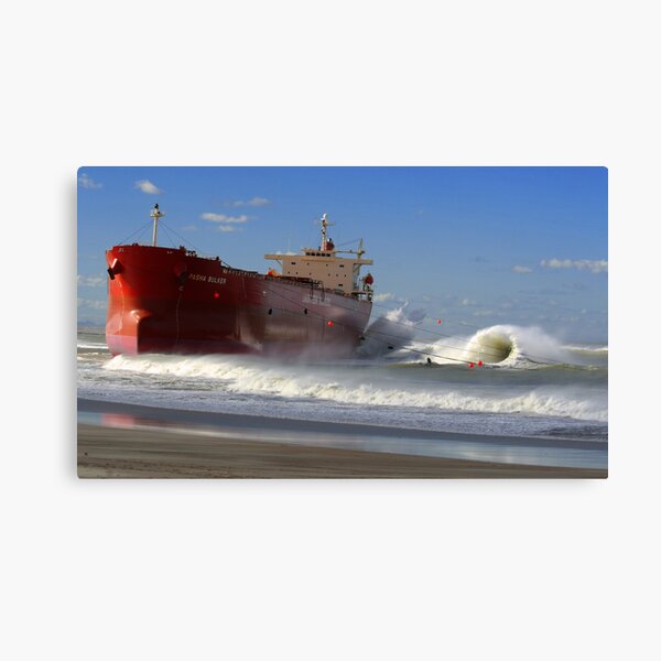 Pasha Bulker Canvas Print