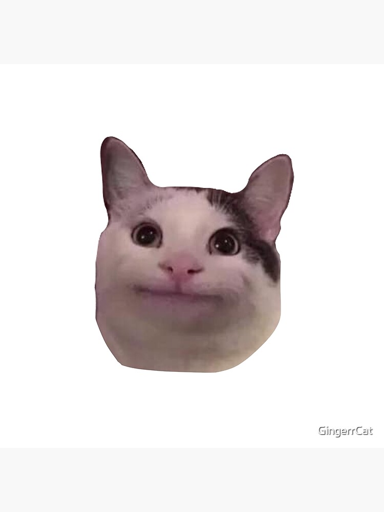 Cat Memes Stickers WASticker - Apps on Google Play