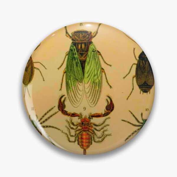 Item preview, Insectes  designed and sold by Itaxi.