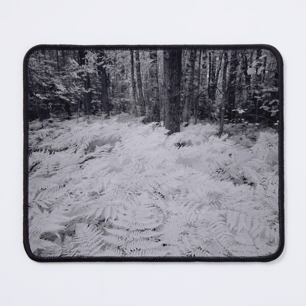 Item preview, White forest bw designed and sold by Jouko Lehto Photography.