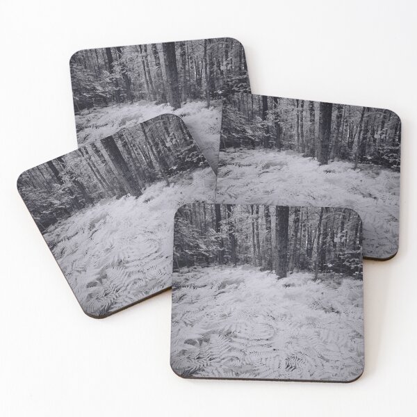Item preview, White forest bw designed and sold by Jouko Lehto Photography.