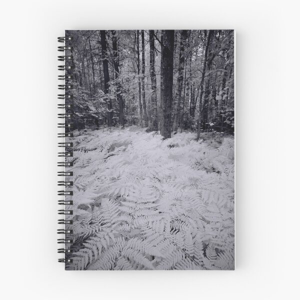 Item preview, White forest bw designed and sold by Jouko Lehto Photography.