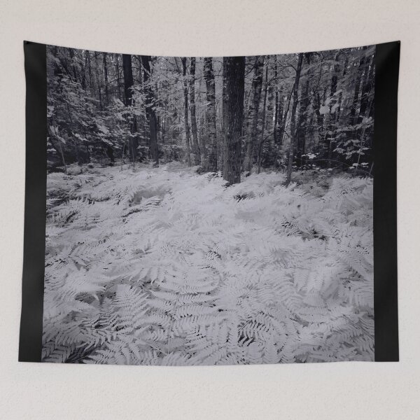Item preview, White forest bw designed and sold by Jouko Lehto Photography.