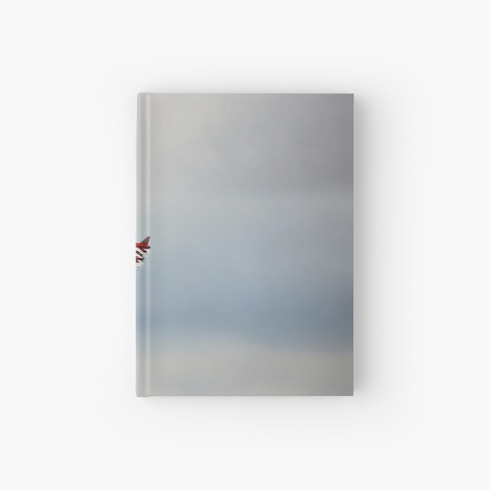 SWISS AIR FORCE PATROUILLE SUISSE Hardcover Journal
