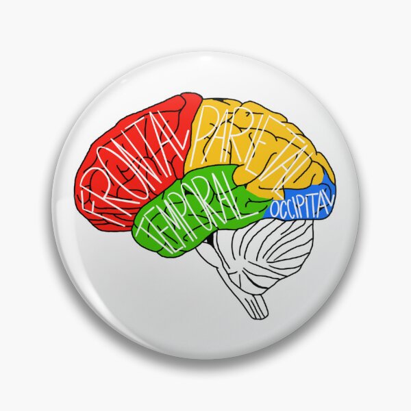 Item preview, Brain Lobes designed and sold by Wes’WildPrimates.