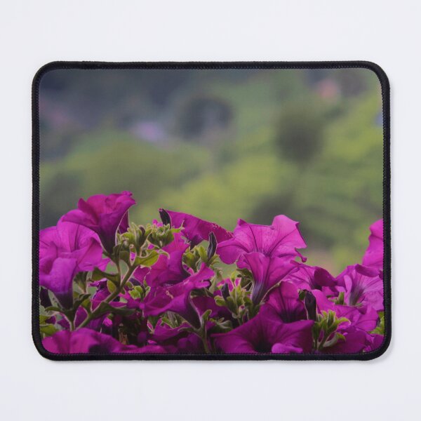Item preview, Rolle Prosecco Winery Windowbox designed and sold by nbrandsberg.