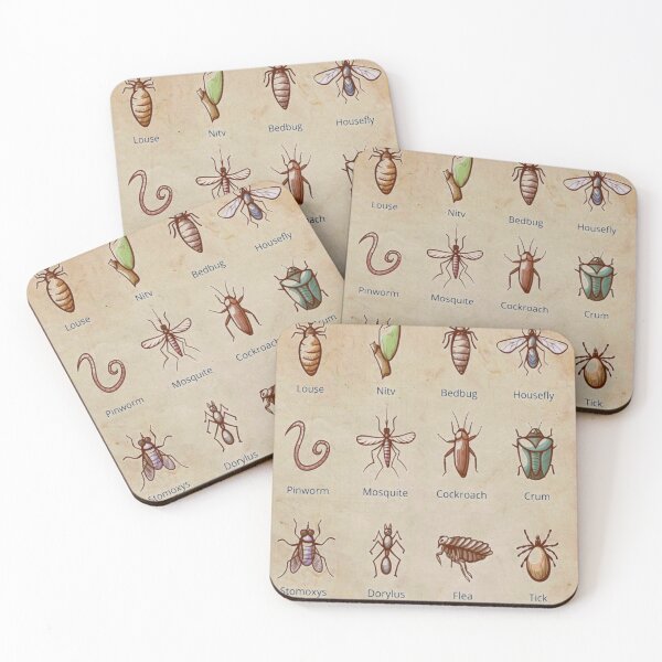 Item preview, Insectes names designed and sold by Itaxi.