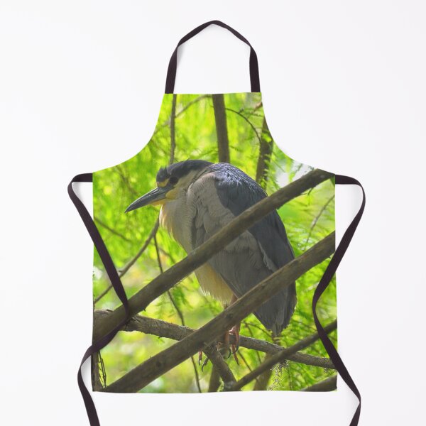 Item preview, Black Crowned Night Heron Perched In A Tree designed and sold by LisaWootenPhoto.