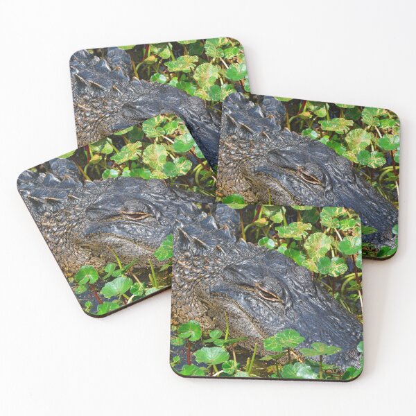 Item preview, Allegator And Lilly Pads designed and sold by LisaWootenPhoto.