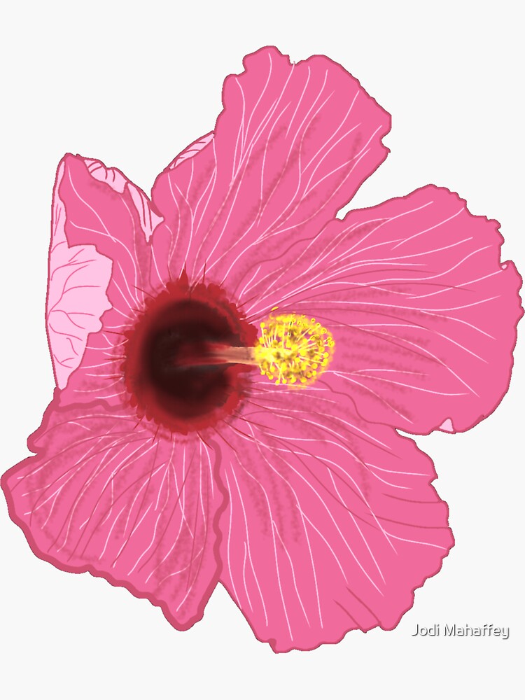 Pink Hibiscus Flower Sticker For Sale By Jojodolly Redbubble 