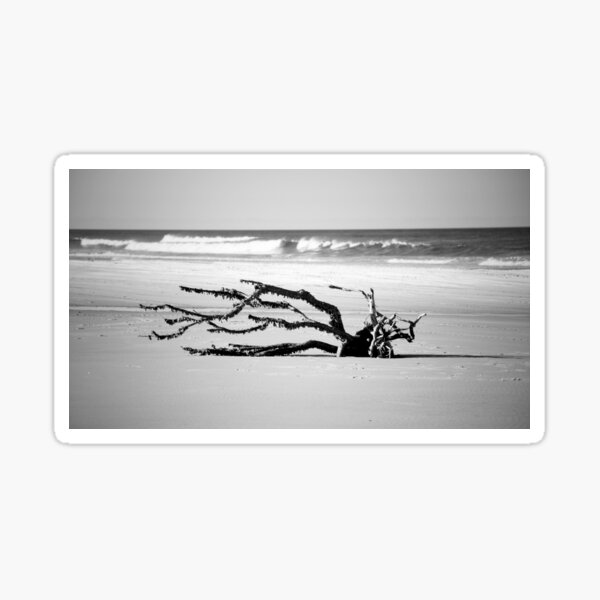 Item preview, Drifted designed and sold by Cassie Kitching.